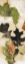 Picture of LEAF DANCE III