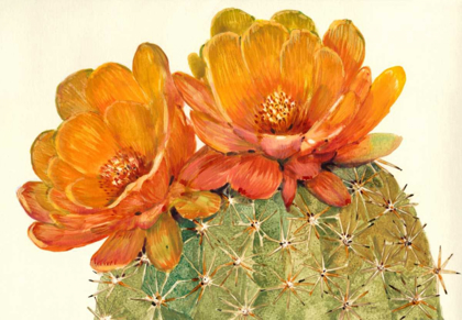 Picture of CACTUS BLOSSOMS II