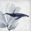 Picture of LOVE OF THE SEA I