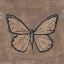 Picture of TEXTURED BUTTERFLY I