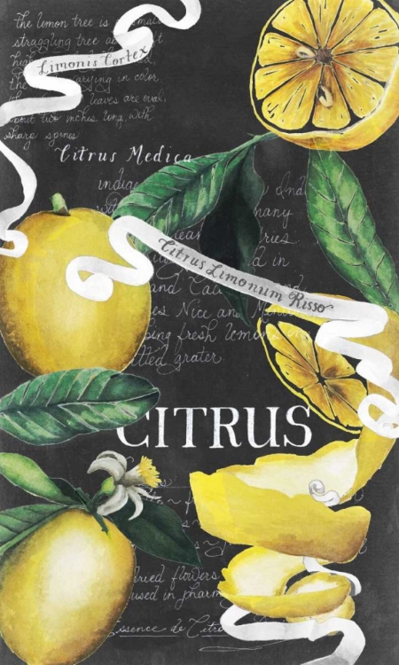 Picture of CHALKBOARD CITRUS II