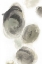 Picture of WATER STONES I
