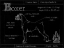 Picture of BLUEPRINT BOXER