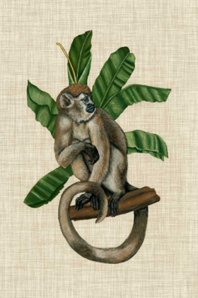 Picture of CANOPY MONKEY I