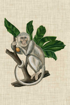 Picture of CANOPY MONKEY II