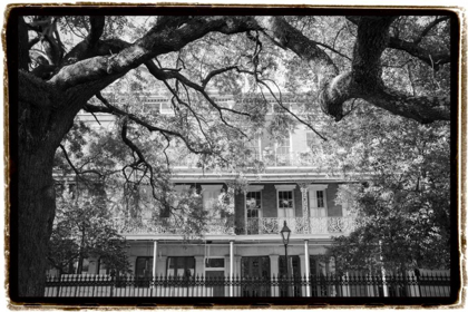 Picture of JACKSON SQUARE, NEW ORLEANS