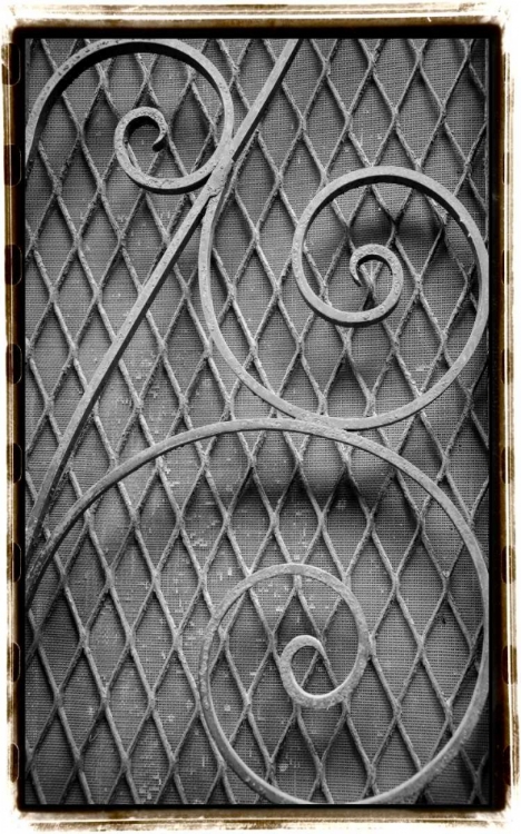 Picture of FRENCH QUARTER IRONWORK II