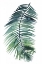 Picture of UNTETHERED PALM VII