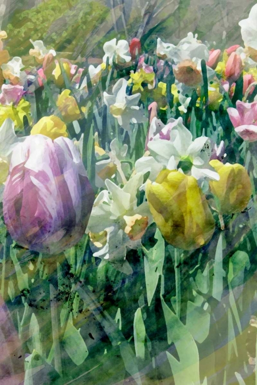 Picture of SPRING AT GIVERNY II