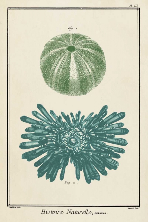 Picture of OCEAN ODDITY III