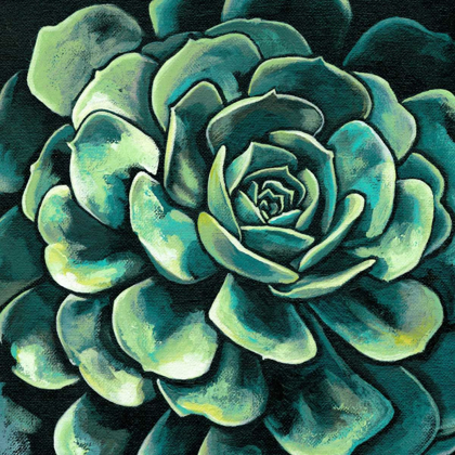 Picture of SUCCULENT BLOOM II