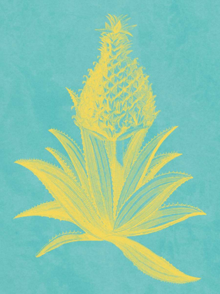 Picture of PINEAPPLE FRAIS I