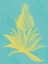 Picture of PINEAPPLE FRAIS I