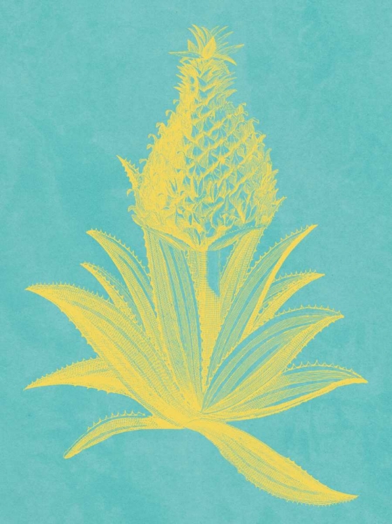 Picture of PINEAPPLE FRAIS I