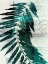 Picture of PALM AQUA I