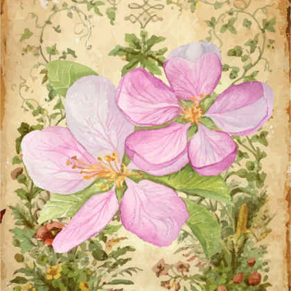 Picture of VINTAGE APPLE BLOSSOM I