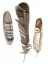 Picture of CUSTOM EARTHTONE FEATHERS I (ASH)