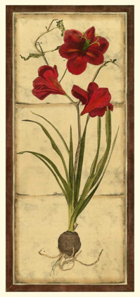 Picture of AMARYLLIS PANEL I