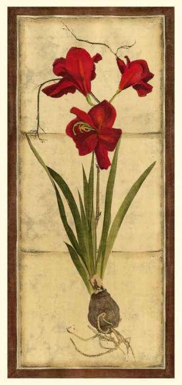 Picture of AMARYLLIS PANEL II