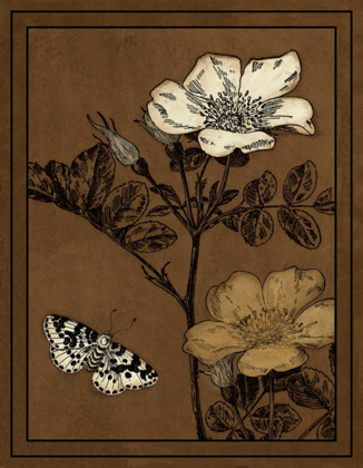 Picture of GILDED BLOSSOM IV