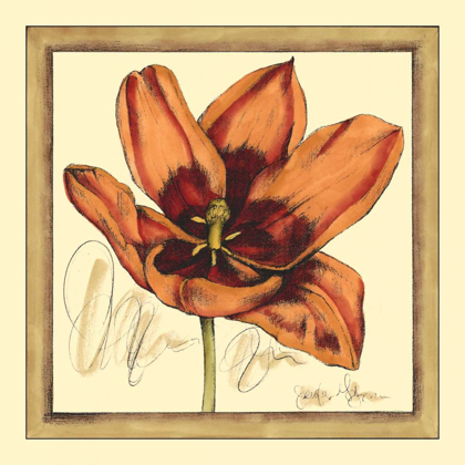 Picture of TULIP STUDY I