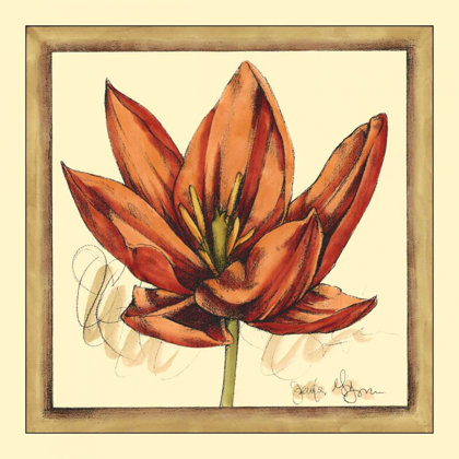 Picture of TULIP STUDY II