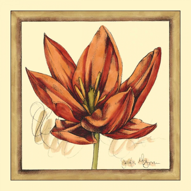 Picture of TULIP STUDY II