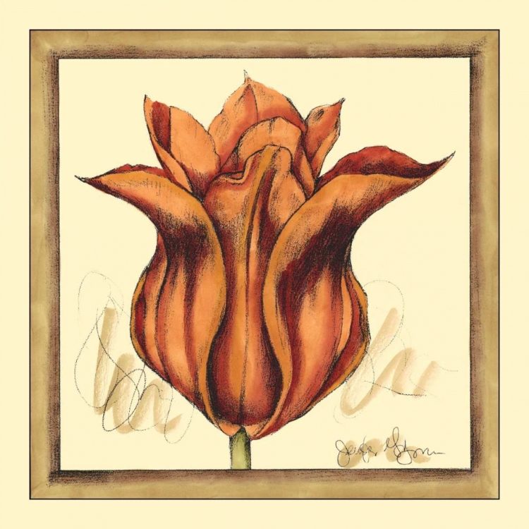 Picture of TULIP STUDY VI