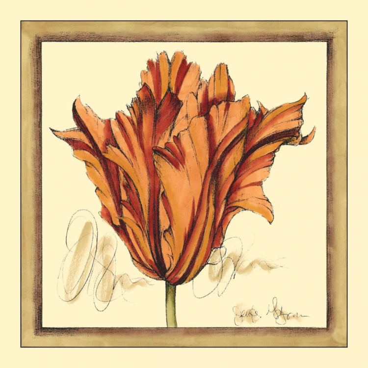 Picture of TULIP STUDY VII