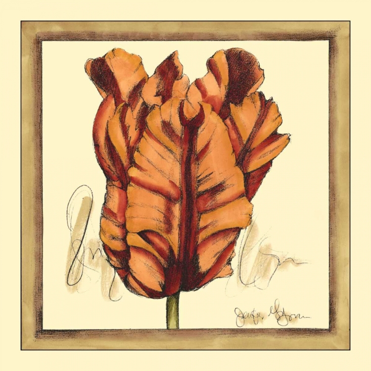 Picture of TULIP STUDY VIII