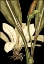 Picture of TRANQUIL TROPICAL LEAVES V