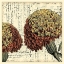 Picture of VINTAGE COMPOSITION IV