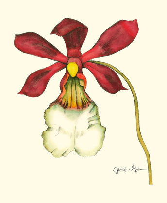 Picture of MAJESTIC ORCHID II