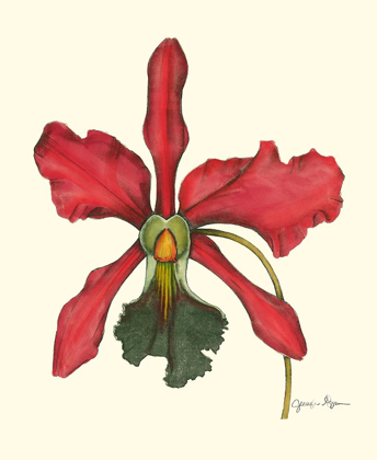 Picture of MAJESTIC ORCHID IV