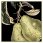 Picture of DRAMATIC PEAR