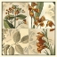 Picture of BOTANICAL QUADRANT IV