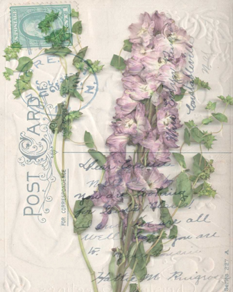 Picture of POSTCARD WILDFLOWERS I