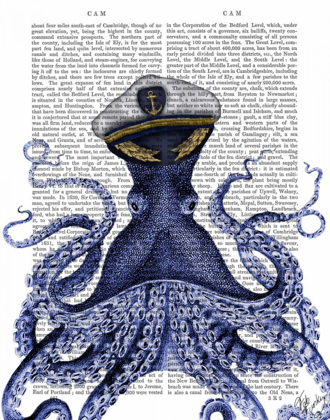 Picture of CAPTAIN OCTOPUS