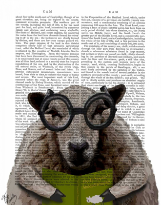 Picture of INTELLIGENT SHEEP