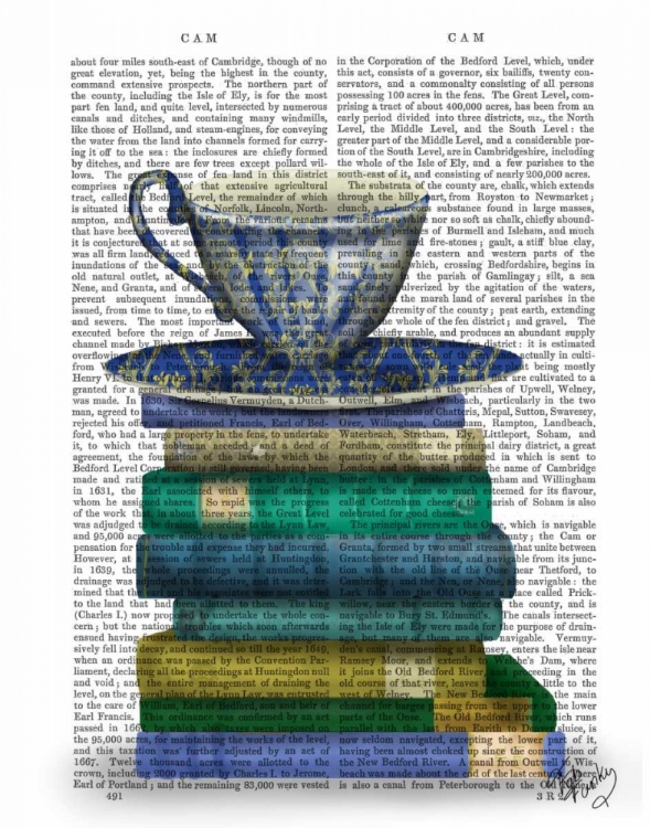 Picture of TEACUP AND BOOKS