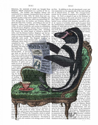 Picture of PENGUIN READING NEWSPAPER