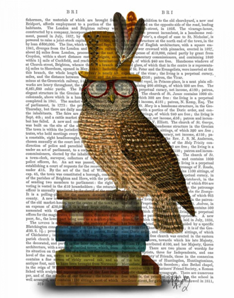 Picture of OWL ON BOOKS