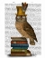 Picture of OWL ON BOOKS