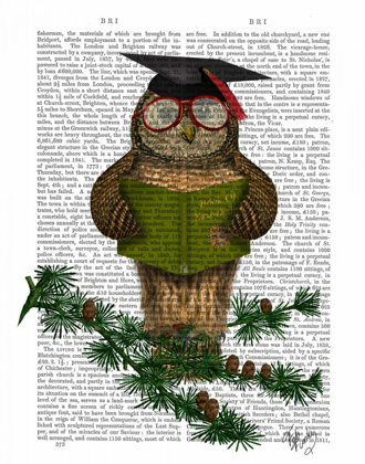 Picture of OWL READING ON BRANCH