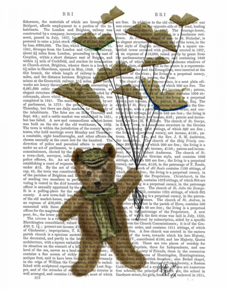 Picture of BEAR WITH BOOK BUTTERFLIES