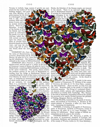 Picture of TWO BUTTERFLY HEARTS