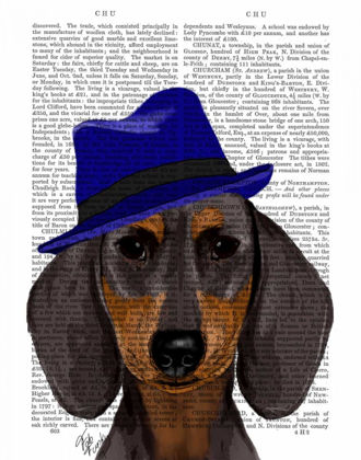 Picture of DACHSHUND WITH BLUE TRILBY