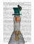 Picture of GOOSE IN GREEN HAT