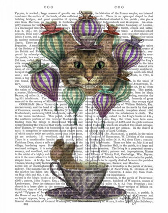 Picture of CHESHIRE CAT HOT AIR BALLOON
