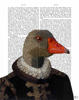 Picture of ELIZABETHAN GOOSE IN A RUFF